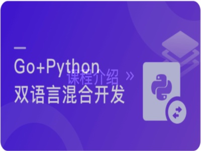 Go+Python打造电商系统自研微服务框架|MK|完结|MP4