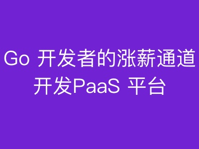 Go开发者的涨薪通道自主开发PaaS平台核心功能|MK|完结|MP4
